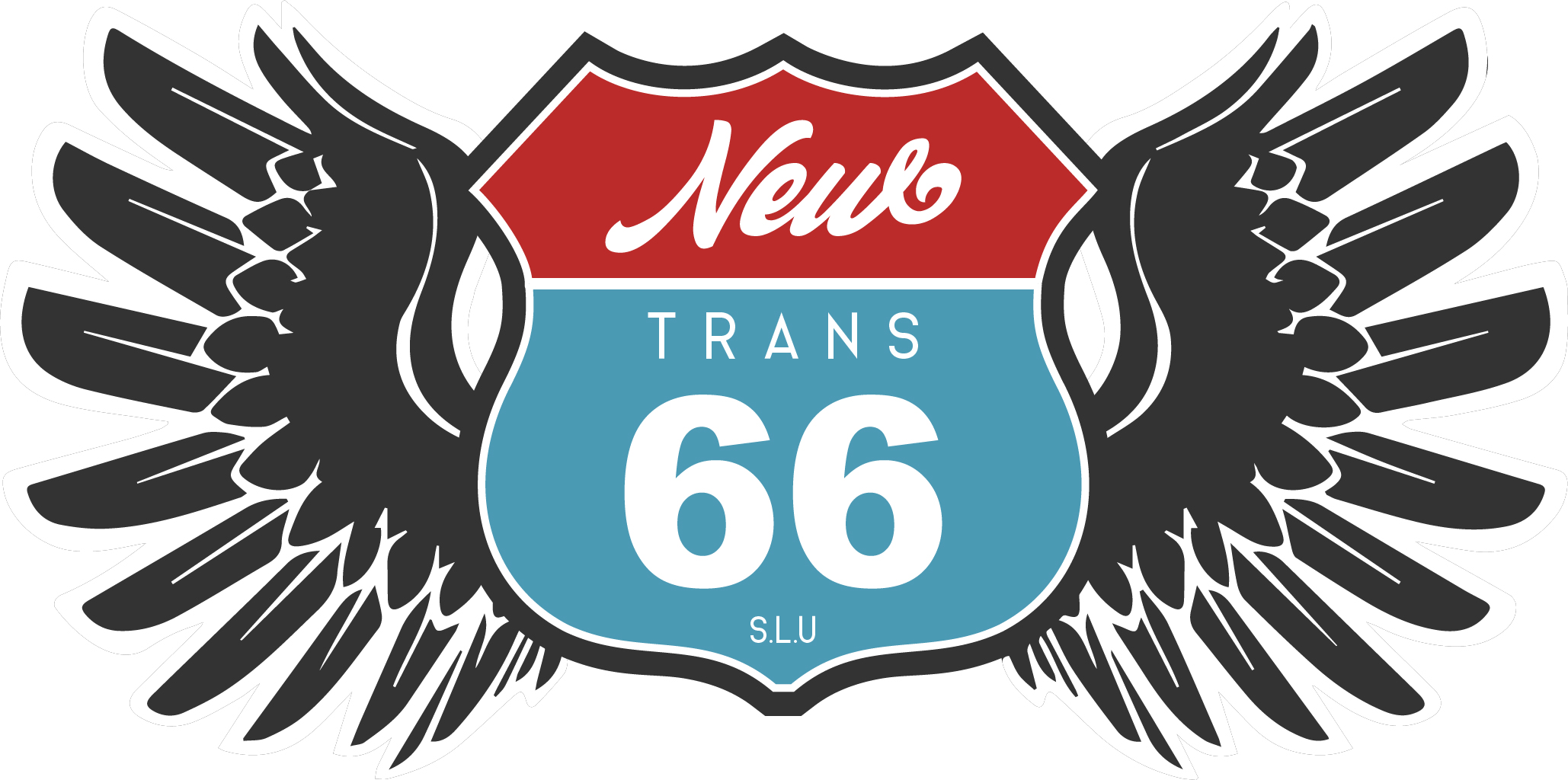 CONDUCTOR TRÁILER TAUTLINER LOCAL O NACIONAL MADRID, POSIBILIDAD DE OBTENER ADR